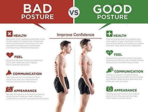 Posture Corrector Belt (Unisex) - The Zip Cart