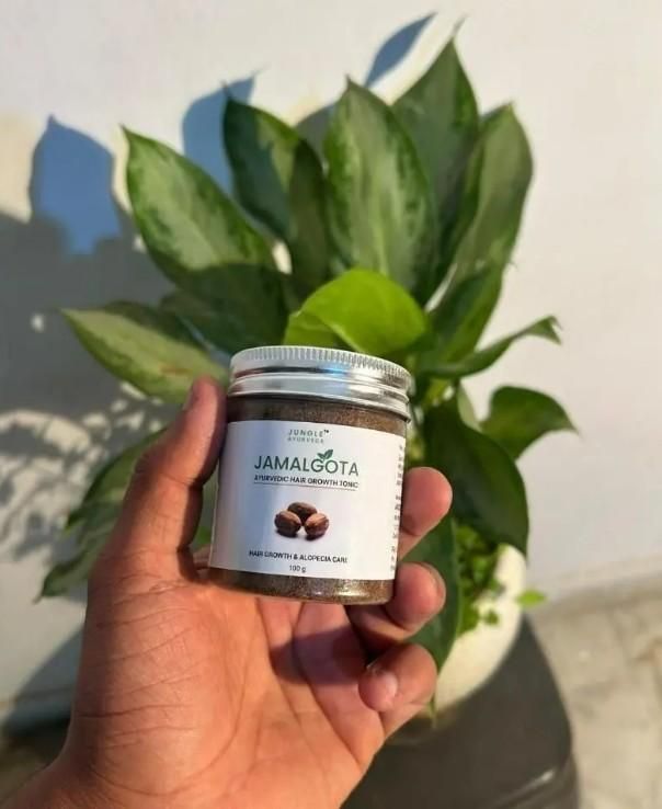 Jamalgota Hair Revival Set — Natural Ayurvedic Solution for Healthy Hair Growth - The Zip Cart